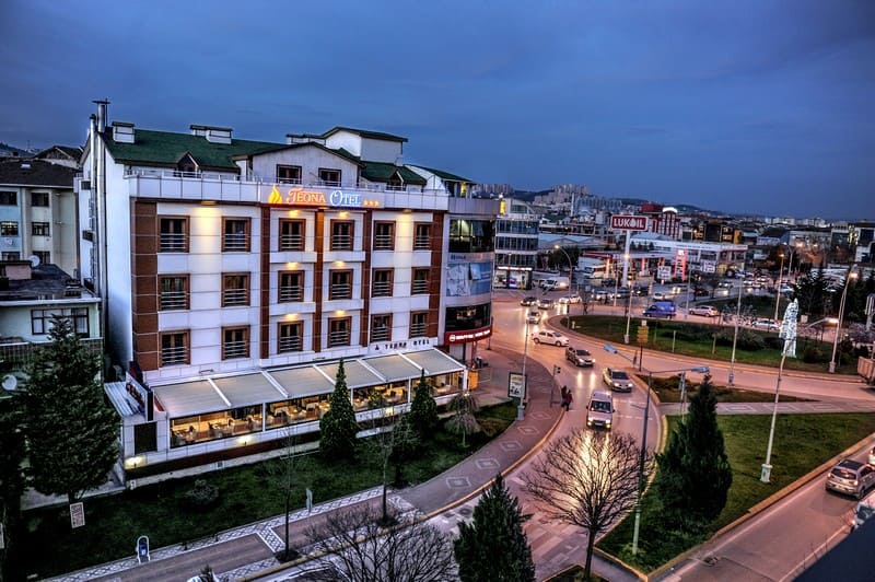 Teona Otel