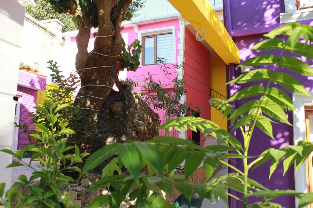 Zanadu Hotel