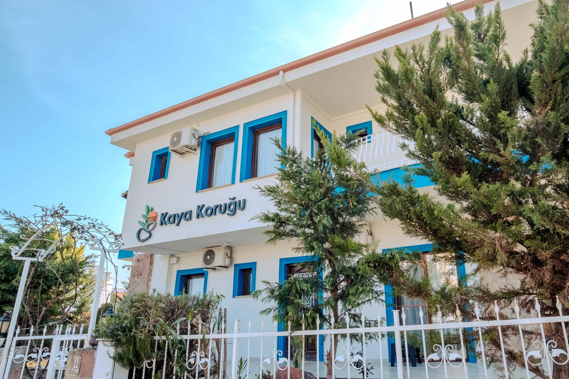 Kaya Koruğu